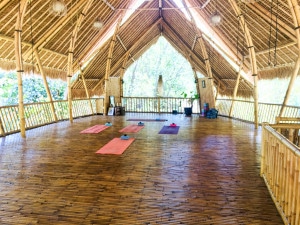 yoga-teaching-job-on-gili-island-indonesia
